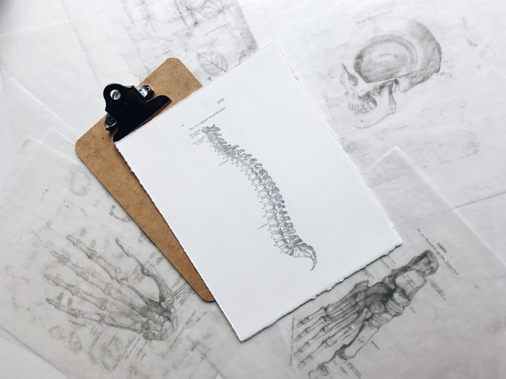 x-ray drawing