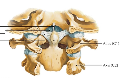 chiropractic-hip-example